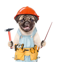 Poster - Funny puppy worker wearing hard hat, overalls with tool belt  holding hammer and pointing on empty space. Isolated on white background