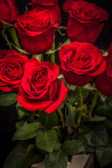 Poster - bouquet of beautiful red roses on a black background