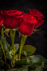 Poster - bouquet of beautiful red roses on a black background