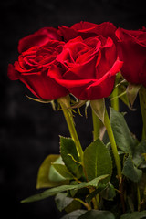 Poster - bouquet of beautiful red roses on a black background