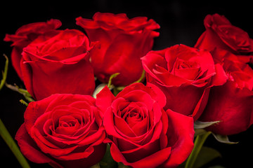Poster - bouquet of beautiful red roses on a black background