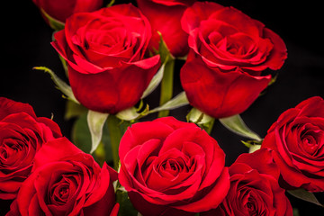 Poster - bouquet of beautiful red roses on a black background