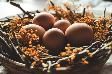 brown eggs in a nest