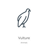 Fototapeta Młodzieżowe - Vulture icon. Thin linear vulture outline icon isolated on white background from animals collection. Line vector sign, symbol for web and mobile