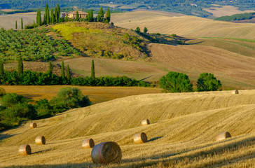 Wall Mural - Late summer aerial landscape of valley in Tuscany