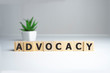 ADVOCACY word made with building blocks, business concept
