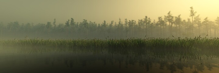 Panorama of the river bank at sunrise in the fog, the lake in the haze, morning in the swamp