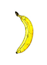 Watercolor Illustration Of One Yellow Banana
