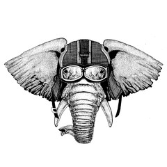 Elephant, indian or african elephant Hipster animal wearing motorycle helmet. Image for kindergarten children clothing, kids. T-shirt, tattoo, emblem, badge, logo, patch