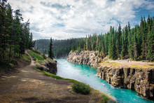 Miles Canyon In Yukon Territory Is Scenic Trail For Hiking Through The Pine Forests Of Canadian Wilderness.