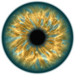 green isolated human eye iris