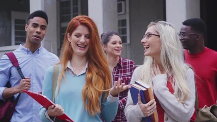 Wall Mural - Multiethnic group of happy young women and men walking in college campus. Cheerful group of multiethnic friends holding books and feeling relaxed after university exam. Smiling classmates laughing.