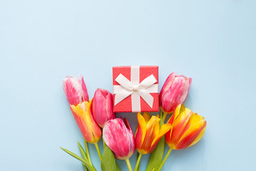 tulip bouquet with little red gift box on blue background