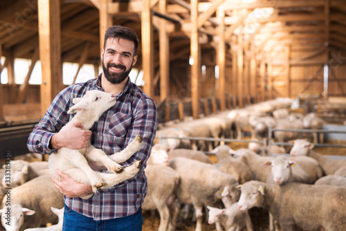 Fotomural Portrait of successful farm worker rancher standing in sheep stable farmhouse and holding lamb domestic animal