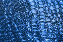 Background With Blue Crocodile Skin Texture. Concept Texture, Background, Trend, Color 2020.