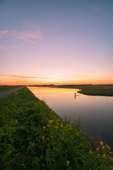 Wall Mural - tranquil scene of colorful sunset over water in recreation area bentwoud, netherlands