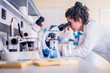 Leinwandbild Motiv Young female scientist looking through a microscope in a laboratory doing research on finding medicine pharmacy cure vaccine 