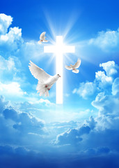 pigeon over a cross in the cloudy sky background with light rays