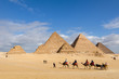  Travel by riding a camel and chariot in Giza in Egypt.