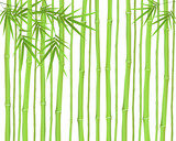 Fototapeta Sypialnia - Chinese or japanese bamboo grass oriental wallpaper vector illustration. Tropical asian plant background