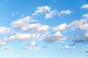 Wall Mural - Blue sky background. Beautiful sky with small white clouds