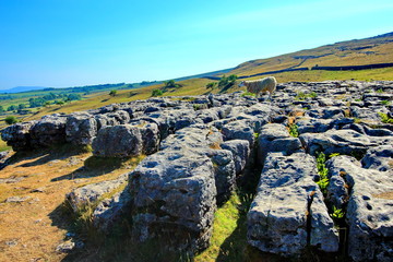 Wall Mural - Amazing rock formations at Malham Cove, United Kingdom