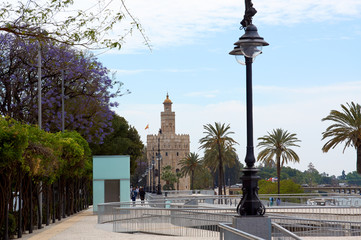 Historic buildings and monuments of Seville, Spain. Architectural details, stone facade.