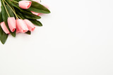 Fototapeta Tulipany - Bouquet of pink tulips on white background