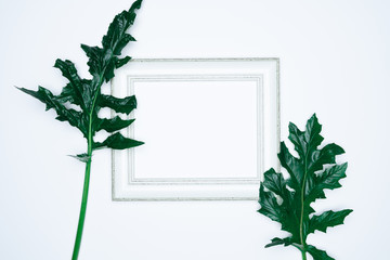 A empty(blank) white photo frame with leaves isolated on white background.