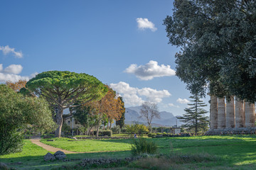 Poster - The stunning Paestum Italy