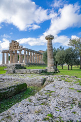 Poster - Temple of Athena in Paestum Italy