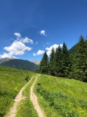 Poster - montagna natura verde