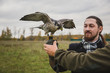 The concept of falconry. A man of European appearance with a leather glove and a beautiful Falcon on his hand