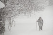 © Luka - Snow blizzard in winter, dense snow falling with strong wind and old woman walking through the snow, metorological cold windy and snowy weather photo