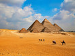 canvas print picture - pyramids in egypt