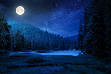 Wall Mural - lake summer landscape at night. beautiful scenery among the forest in mountains in full moon light