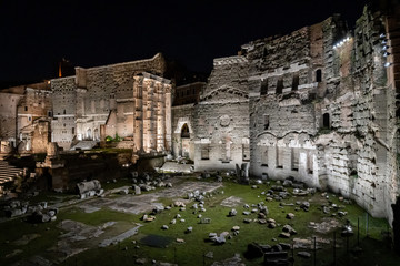 Wall Mural - The Forum in Rome Italy