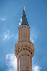 Wall Mural - the mosque