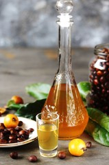 Sticker - Liqueur nespolino. Loquat seed liquor. tincture alcoholic on bones loquat . Amaretto with almond flavor. recipe for medlar. alcoholic beverage from the  loquat. tincture on seed loquat. 