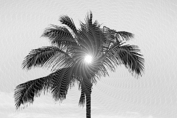  Abstract Illustration: Black palm tree shape with white repetitive lines effect.