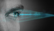 © oz - biometric eye retina scan concept