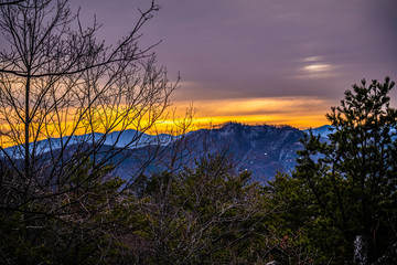 Poster - orange sunrise in the mountains with tree branches in the foreground