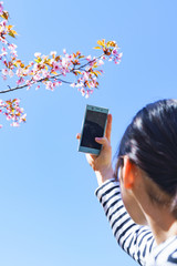 Wall Mural - Japanese girl take photo for sharing SNS by using smart phone in Japan