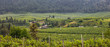 Panoramic view of winery near Leavenworth,Washington