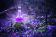 magic potion in bottle in  fairy forest