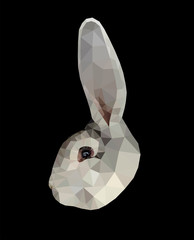 Wall Mural - Light grey bunny face low poly triangular vector illustration isolated on black. Polygonal style trendy modern logo business fairy design template for easter invitations and greetings.