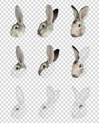 Wall Mural - Light grey rabbit bunny face set low poly triangular vector illustration isolated on transparent. Polygonal style trendy modern logo business fairy design template.