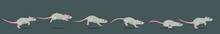 Mouse Or Rat Running Animation Loop. Animated 2D Character In A Cartoon Style.