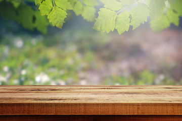 Wall Mural - Wooden table and fresh leaves with blurred nature garden background. Spring nature season.