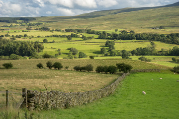 Wall Mural - Countryside of the Lake District